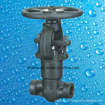 API602 Sello de presión Forged Steel A105 Rosca NPT Globe Valve